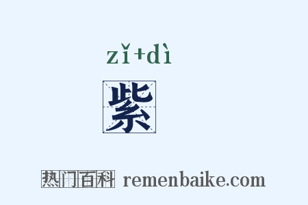 紫菂是什么意思的图片